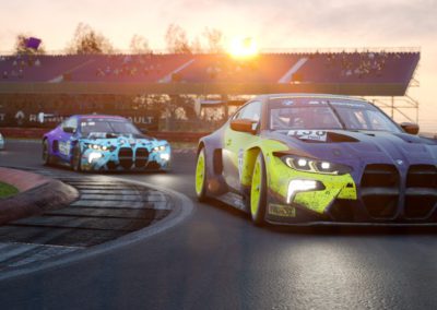 Endurance Racing, the pinnacle of racing or endless horror?